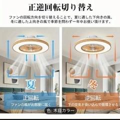 シーリングファンライト　12畳用　の画像