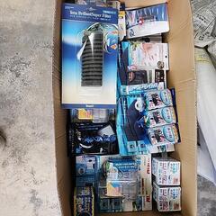 熱帯魚色々まとめの画像