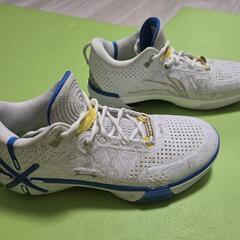 LI-NING Wade Shadow 6 「輪廻」 27.5cm【美品】の画像
