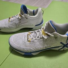 LI-NING Wade Shadow 6 「輪廻」 27.5cm【美品】の画像