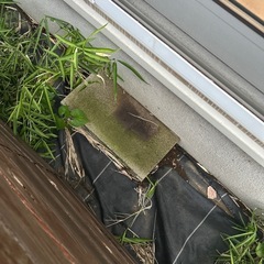 コンクリートブロック 8個　園芸用品の画像