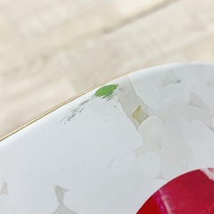 新品 EVISEN SKATEBOARDS EVI-LOGO SUSHI 7.8