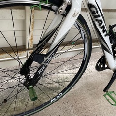 GAIANT fcr2の画像