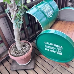 ドラム缶ソファーの画像