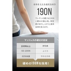 SD高反発×消臭 竹炭入りマットレス 3つ折りタイプ 厚さ10cm（ゼミダブル） の画像