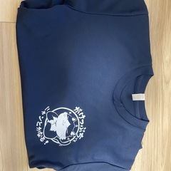 がけっぷちTシャツの画像