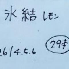 氷結　レモン　29本の画像