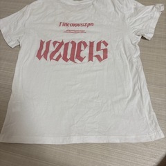 Tシャツ，夏服ですの画像