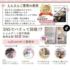 値下げ⭐︎【にゃんゲート】 LIFAXIA ペットゲートの画像
