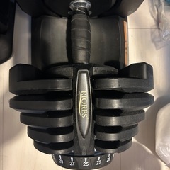 可変式ダンベル40kg×2の画像