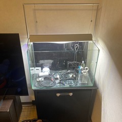 ネイチャーアクアリウムセット60センチハイタイプの画像