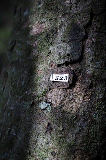8月15日まで！！　Canon EOS 6d mark2