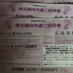 東急株主優待招待券　レオ・レオーニ
展　　の画像