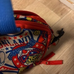 ヒスミニーポーチですの画像