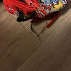 ヒスミニーポーチですの画像