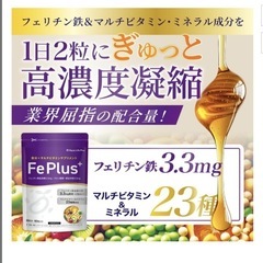 Fe Plus フェリチン鉄 3.3mg × 鉄分 × マルチビタミン 美容成分の画像