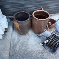 メダカ容器の画像