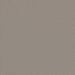 サンゲツ タイルカーペット NT344
の画像