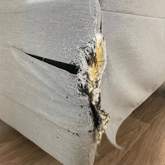 グレー
のソファーの画像