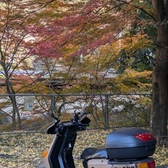 ヤマハ　ギアー　2ストの画像