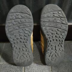 こども靴の画像