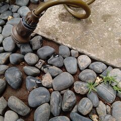 水撒きホースの画像
