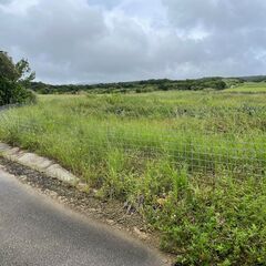 沖縄ですぐに農業ができる！！東村高江農地3筆売り！！