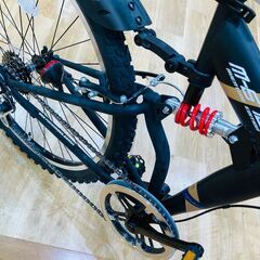 MyPallasのマウンテンバイクが入荷いたしました！の画像