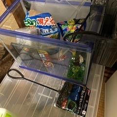小型水槽　一式の画像