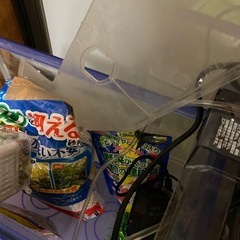 小型水槽　一式の画像