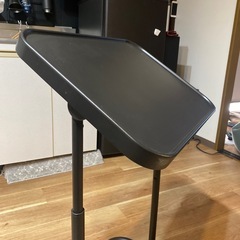 ビョルコーセン 　IKEA  の画像