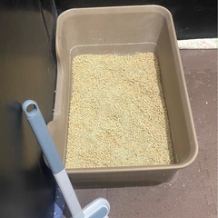 猫飼育セットの画像