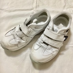 【MIDORI】ミドリ安全靴 先芯入り静電スニーカー 22.5cmの画像