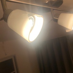 ライトの画像