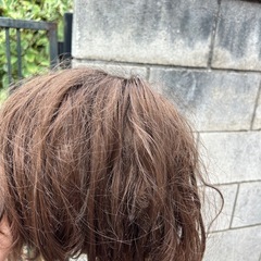 ウィッグの画像