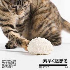 pidan キャッサバ 猫砂の画像