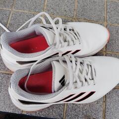 adidasゴルフシューズの画像