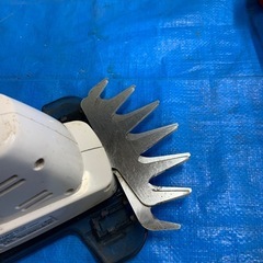 電動ガーデンバリカン。伸縮ハンドルセットの画像