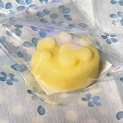 手作り石鹸＊ドッグソープ-001の画像