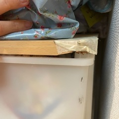 収納ケース　プラタンスの画像