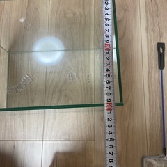 水槽の画像