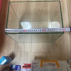 水槽の画像