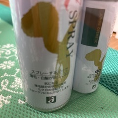 彩髪
スプレーの画像