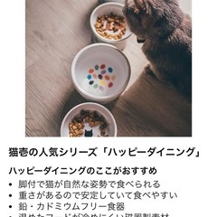 猫壱(necoichi)ハッピーダイニング 猫用　ボウルとトレーセット の画像