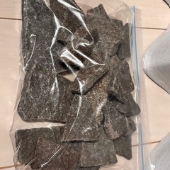 メダカ飼育セットの画像