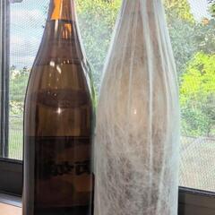 ■鷲尾・日南娘1800ml【田村合名会社・宮田本店】2本組・在庫２組の画像