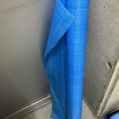 シートの画像
