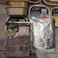 犬用品の画像