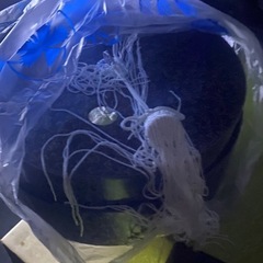 灯籠、提灯
の画像