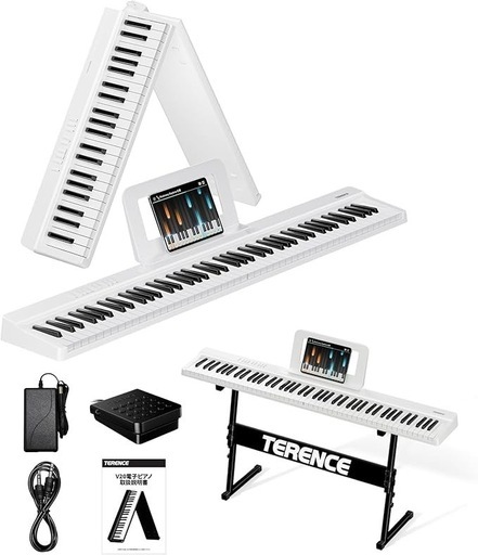 値下げ済? ALESIS 電子ピアノ88鍵盤 オプション多数です✨